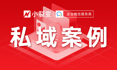 私域案例