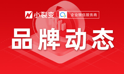品牌动态
