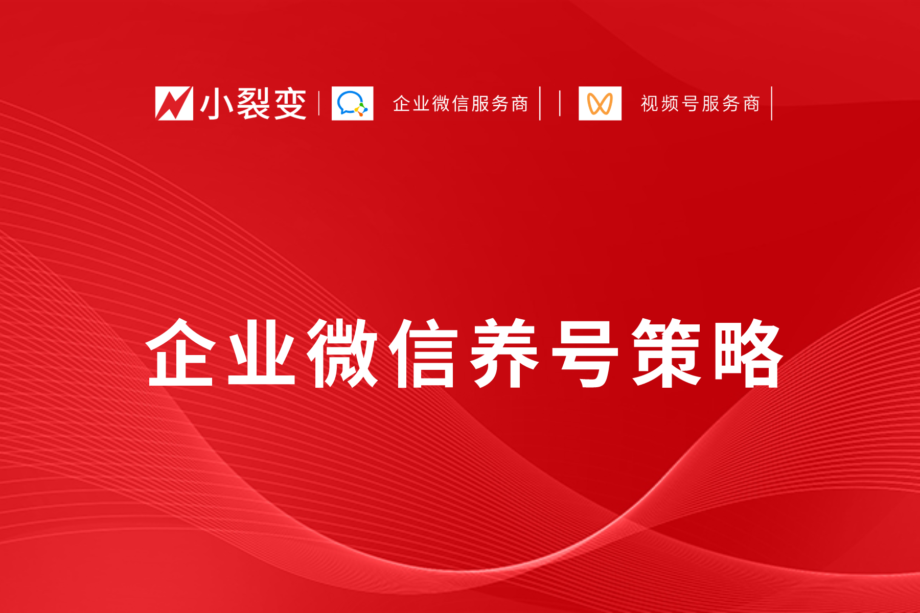 组 30@1x